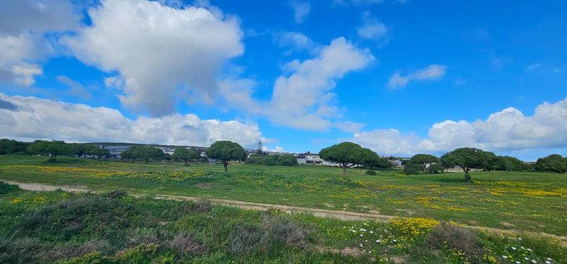 7 Bedroom Property for Sale in Country Club Western Cape